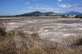 (Ảnh minh họa: Trần Lê Lâm/TTXVN)