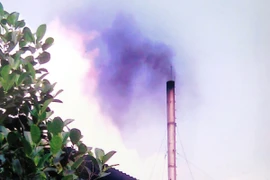 Ảnh minh họa. (Nguồn ảnh: TTXVN)