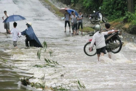 Năm 2015: Việt Nam sẽ bị ảnh hưởng trực tiếp bởi 4-5 cơn bão lớn