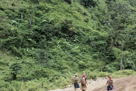 “Cơn lốc trắng” từ bên kia nước Lào len lỏi tràn sang các huyện miền Tây của tỉnh Nghệ An. (Ảnh: Hùng Võ/Vietnam+)