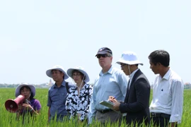 Bà Judith Garber, quyền Trợ lý Ngoại trưởng Hoa Kỳ, Đại sứ Hoa Kỳ Ted Osius và cộng sự đi thăm cánh đồng lúa tại huyện Giao Thủy. (Ảnh: Hùng Võ/Vietnam+)
