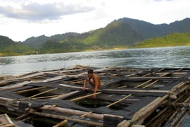 Ban hành quy chuẩn kỹ thuật quốc gia về điều kiện nuôi thủy sản