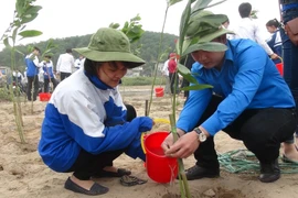 Ảnh minh họa. (Nguồn: TTXVN)