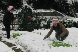 Từ nay đến Tết miền Bắc có thể xuất hiện 1-2 đợt rét đậm, rét hại