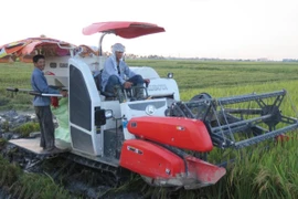 Ảnh minh họa. (Nguồn: TTXVN)