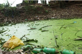 Ảnh minh họa. (Nguồn: TTXVN)