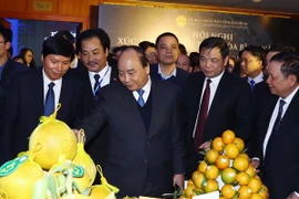 Thủ tướng Nguyễn Xuân Phúc thăm các gian trưng bày sản phẩm của tỉnh Hòa Bình tại hội nghị. (Ảnh: Thống Nhất/TTXVN)