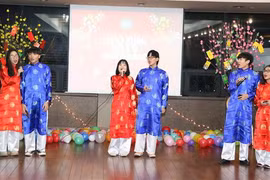 Một tiết mục văn nghệ chào năm mới 2019. (Ảnh: Hữu Tuyên/TTXVN)