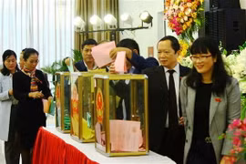 Các đại biểu bỏ phiếu tín nhiệm. (Ảnh: Nguyễn Oanh/TTXVN)