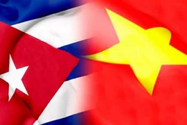 Tổng Bí thư Nguyễn Phú Trọng và Đại sứ Đặc mệnh toàn quyền Cộng hòa Cuba tại Việt Nam Lianys Torres Rivera. (Ảnh: Văn Điệp/TTXVN)
