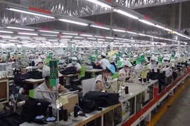 Ảnh chỉ có tính minh họa. (Ảnh: Huỳnh Phúc Hậu/TTXVN)