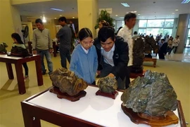 Khách tham quan triển lãm Nghệ thuật đá cảnh Suiseki. (Ảnh: Trần Lê Lâm/TTXVN)