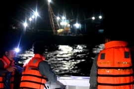 Ảnh chỉ có tính minh họa. (Ảnh: TTXVN phát)