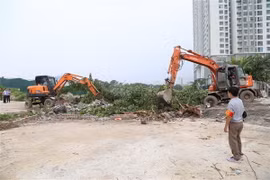 Ảnh chỉ có tính minh họa. (Ảnh: Mạnh Khánh/TTXVN)