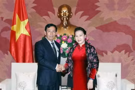 Chủ tịch Quốc hội Nguyễn Thị Kim Ngân tiếp Chủ tịch Đảng Đoàn kết và Phát triển Liên bang Myanmar U Than Htay đang ở thăm và làm việc tại Việt Nam. (Ảnh: Trọng Đức/TTXVN)