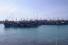 Các tàu cá vào tránh trú bão tại âu tàu chiều 16/12. (Ảnh: TTXVN phát)