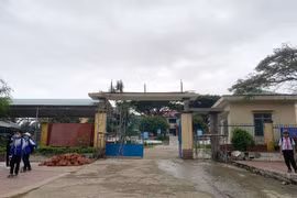Trường Trung học cơ sở Trưng Vương ở Gia Lai bị phụ huynh phản ứng vì thu tiền mua cây cảnh 100.000 đồng/học sinh. (Nguồn: nld.com.vn) 
