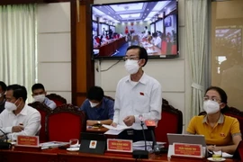 Đại biểu Trần Hoàng Ngân, Viện trưởng Viện Nghiên cứu Phát triển Thành phố Hồ Chí Minh trao đổi, thảo luận tại tổ. (Ảnh: Tiến Lực/TTXVN)