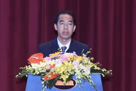 Thứ trưởng Ngoại giao Tô Anh Dũng phát biểu tham luận về xây dựng ngành ngoại giao. (Ảnh: Lâm Khánh/TTXVN)