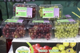 Sản phẩm nho Ninh Thuận đã được bảo hộ Chỉ dẫn địa lý. (Ảnh: Nguyễn Thành/TTXVN)