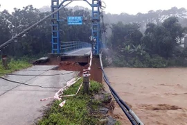 Ảnh minh họa. (Ảnh: TTXVN)