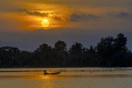 Người dân bắt cá trên những cánh đồng ngập nước mùa lũ. (Ảnh: Duy Khương/TTXVN)