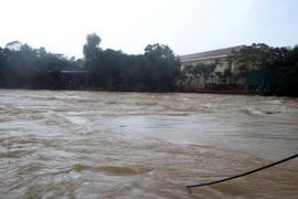 (Ảnh minh họa: Công Tường/TTXVN)