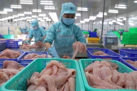 Chế biến cá tra philê xuất khẩu tại nhà máy của Công ty Cổ phần đầu tư phát triển đa quốc gia. (Ảnh: Phạm Hậu/TTXVN)