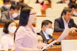Đại biểu Quốc hội tỉnh Bắc Ninh Nguyễn Thị Hà phát biểu. (Ảnh: Trọng Đức/TTXVN)