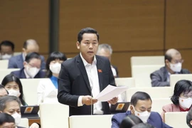 Đại biểu Quốc hội tỉnh Bà Rịa-Vũng Tàu Dương Tấn Quân phát biểu. (Ảnh: Doãn Tấn/TTXVN)