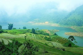 Những thửa ruộng bậc thang hùng vỹ, độc đáo tuyệt đẹp của bà con dân tộc Mông, Dao, Hà Nhì thuộc xã Y Tý, huyện Bát Xát,. tỉnh Lào Cai. (Ảnh: Quốc Khánh/TTXVN)