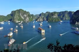Vịnh Hạ Long. (Ảnh: Minh Đức/TTXVN)