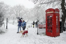 Tuyết rơi trắng xóa tại Anh. (Ảnh: THX/TTXVN)