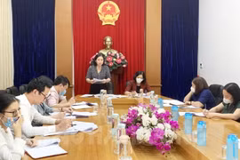 Bà Nguyễn Thị Ngọc Bích, Ủy viên Ban Thường vụ Tỉnh ủy, Phó Chủ tịch Thường trực HĐND tỉnh phát biểu tại buổi làm việc. (Nguồn: baohaiduong.vn)