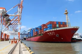 Cảng Tân Cảng-Cái Mép Thị Vải ở thị xã Phú Mỹ, tỉnh Bà Rịa-Vũng Tàu. (Ảnh: Huỳnh Ngọc Sơn/TTXVN)