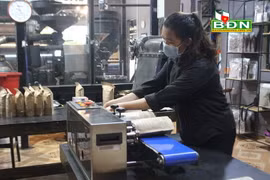 Sản xuất càphê bột tại Công ty TNHH Càphê Bazan Đắk Nông ở huyện Gia Nghĩa, tỉnh Đắk Nông. (Nguồn: http:baodaknong.org.vn)