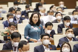 Đại biểu Quốc hội tỉnh Bắc Kạn Hồ Thị Kim Ngân phát biểu. (Ảnh: Doãn Tấn/TTXVN)