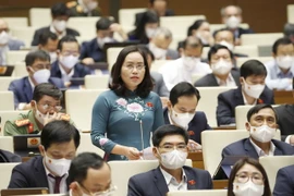 Đại biểu Quốc hội tỉnh Bắc Kạn Hồ Thị Kim Ngân phát biểu. (Ảnh: Doãn Tấn/TTXVN)