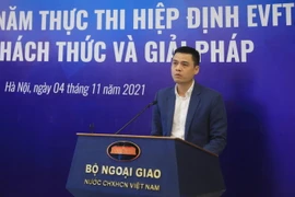 Thứ trưởng Ngoại giao Đặng Hoàng Giang phát biểu khai mạc tọa đàm. (Ảnh: Lâm Khánh/TTXVN)