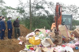 Tiêu hủy lô hàng hóa trị giá hơn 3 tỷ đồng. (Ảnh: Đức Thọ/TTXVN)