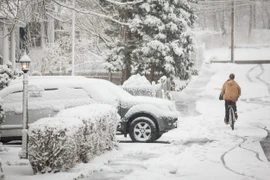 Tuyết phủ trắng xóa ở Greenwich, Connecticut, Mỹ. (Nguồn: AFP/TTXVN)