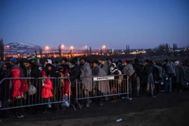 Người di cư đợi để vào trại tị nạn sau khi vượt qua biên giới Macedonia tới Serbia ngày 23/1. (Ảnh: AFP/TTXVN)