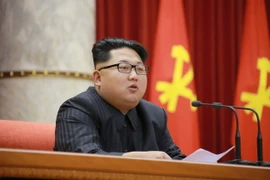 Bà Park Geun-hye gọi chế độ của nhà lãnh đạo Triều Tiên Kim Jong Un là độc tài. (Ảnh: AFP/TTXVN)