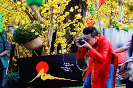 Cứ mỗi dịp giáp Tết Nguyên đán, phố Ông đồ lại trở thành địa điểm thu hút đông đảo người dân thành phố Hồ Chí Minh. (Ảnh: Lưu Đạt/Vietnam+)