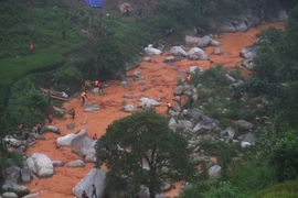 Ảnh minh họa. (Nguồn: TTXVN)