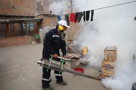 Nhân viên y tế phun thuốc khử trùng để ngăn chặn sự lây lan của virus Zika ở Lima, Peru ngày 29/1. (Ảnh: THX/TTXVN)