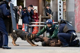 Ảnh minh họa. (Nguồn: ​nipponnews.net)