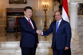 Tổng thống Ai Cập Abdel-Fattah El-Sisi hội đàm với Chủ tịch Trung Quốc Tập Cận Bình đang trong chuyến thăm Cairo. (Ảnh: THX/TTXVN)