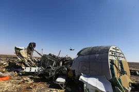 Mảnh vỡ máy bay Nga A321 tại khu vực Hassana, phía bắc Ai Cập ngày 1/11. (Nguồn: THX/TTXVN)