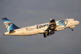 Máy bay Airbus A320 của Hãng EgyptAir tại sân bay Istanbul, Thổ Nhĩ Kỳ. (Nguồn: EPA/TTXVN)